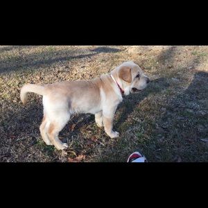 Meet your Posher, Kennedy